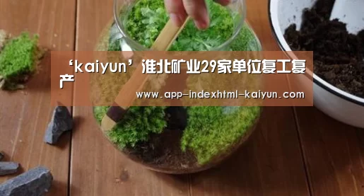 ‘kaiyun’淮北矿业29家单位复工复产(图3) ‘kaiyun’淮北矿业29家单位复工复产(图3)