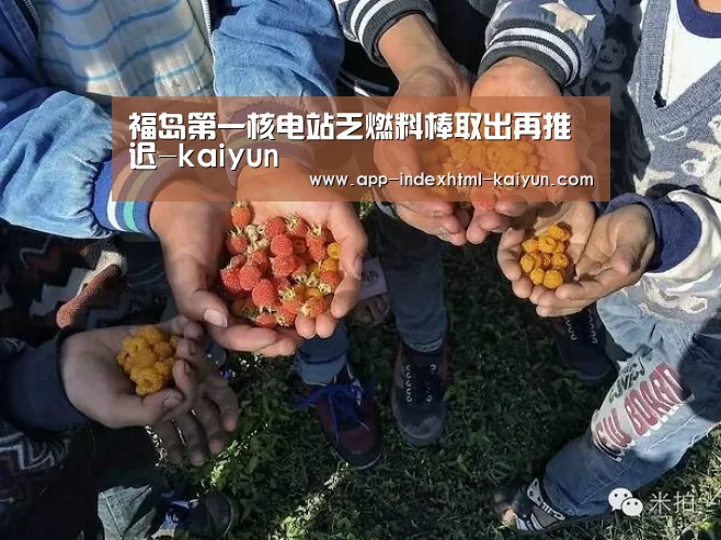 福岛第一核电站乏燃料棒取出再推迟-kaiyun